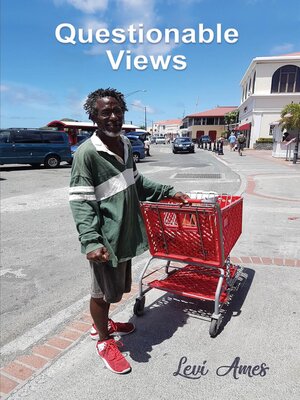 cover image of Questionable Views
